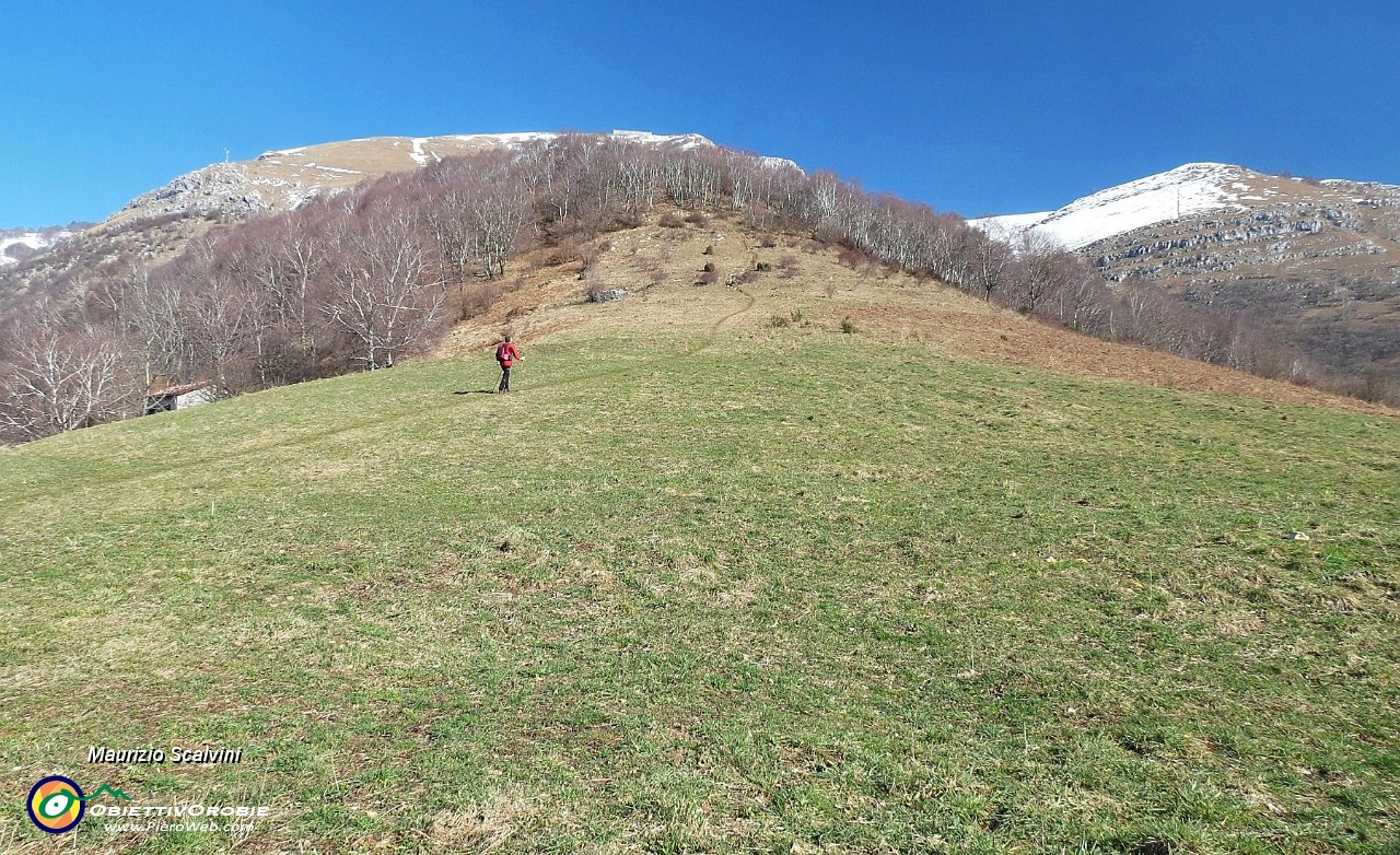 24 Ricomincio la salita. 350 metri esatti di dislivello mi separano dalla vetta del Linzone....JPG